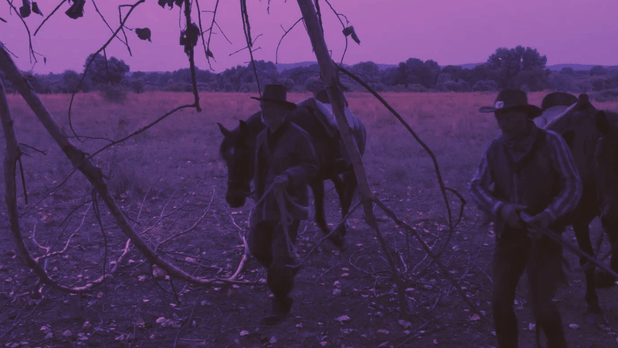 Bellotas premiadas cortometraje
